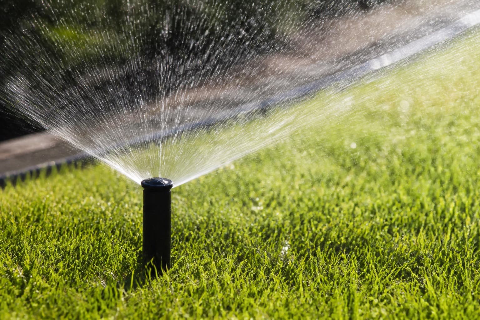 Pop-up sprinkler running on a maintained lawn